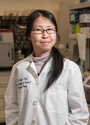 Xiaoyan Zheng, Ph.D.