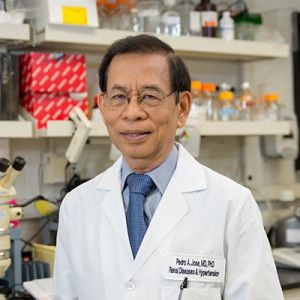 Pedro A. José, M.D., Ph.D.