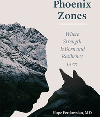 Phoenix Zones book cover 