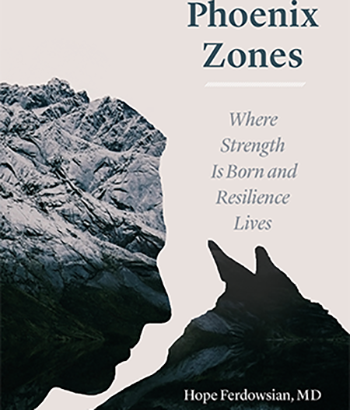 Phoenix Zones book cover