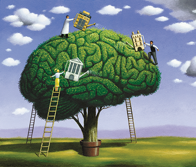 Illustration of the brain