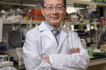 Rong Li, PhD